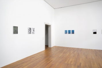 Miriam Rutherfoord & Joke Schmidt · Three Crows, 2022, Ausstellungsansicht Kunsthalle Winterthur