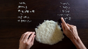 Reis auf Tisch, 2021_c_Judith Albert